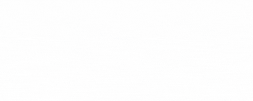 Nexera Services Logo